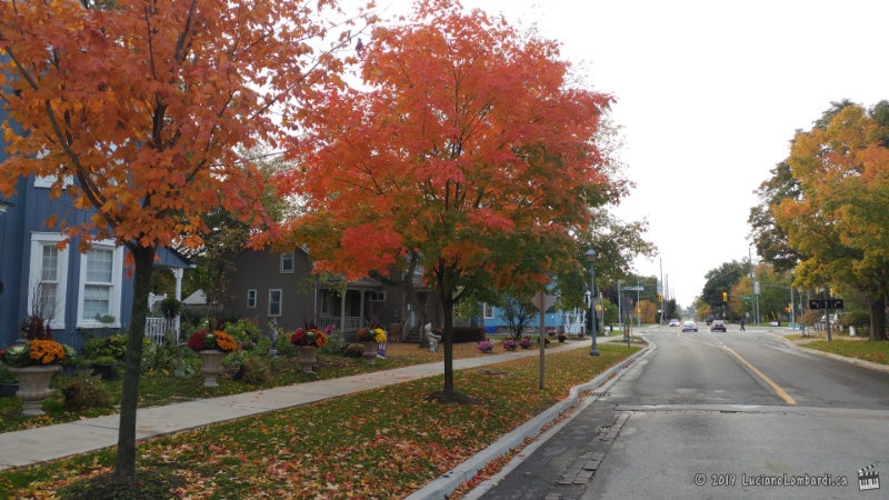Autumn in Unionville