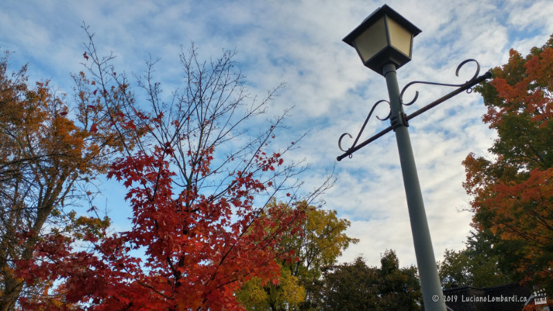 Autumn in Unionville
